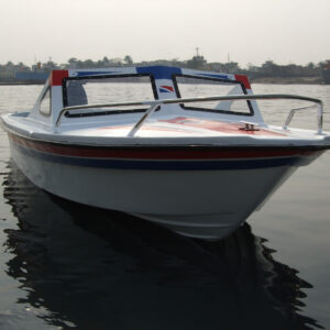 rescue boat (emergency flood response)